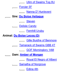 du-boise-lecoq-ancestry-247x300-1