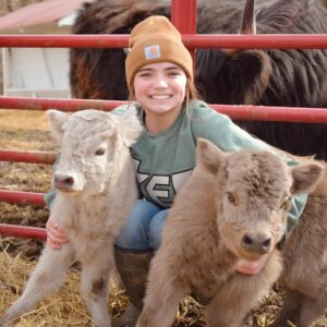 mini highland cow